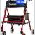 blessreach rollator walker 1 thumbnail