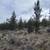 Buildable 32 Adjoining Acres East of Prineville Reservoir 1 thumbnail