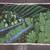 Henri-Robert Brasil Le Paradis-Paradise, Tropical Verdant Fantasy Land 7 thumbnail