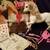 1983 Barbie dream horse Prancer w/all accessories 1 thumbnail