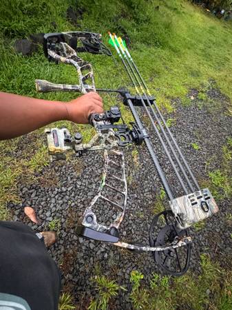 Compound bow 1
