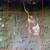 10 Acres Croy Road, 3 Pads, Views, Owner Financing 4 thumbnail