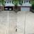 💦CC Pressure Washing - Gutter, Concrete, and House Cleaning💦 17 thumbnail