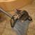 Mousers 1 thumbnail
