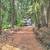 Charming 3-4 Bed 2 Bath Home on 1.9 Acres 3 thumbnail