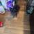 lil female pomchi 1 thumbnail