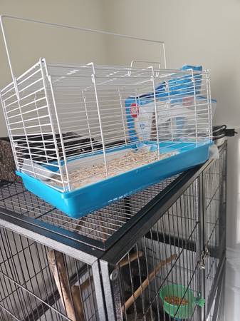 Huge bird cage and travel cage $200 (Biloxi)63801771514625122