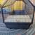 small animal cage. Guinea pig, hamster, ect. Oxbow extra large habitat 4 thumbnail