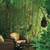 BAMBOO PLANTS 1/2off WHOLESALE PRICE 15' INSTANT PRIVACY WINDBREAK ZEN 11 thumbnail