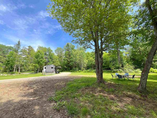 $1,250 / 1br - 296ft2 - Numerous hazelnut trees are scattered throughout the property (Lyndonville, VT)63784685079299121