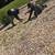 🌲☘️🌳🌳🌳🌳🌳🌲🪴AFFORDABLE TREE AND LANDSCAPE SERVICE INC 9 thumbnail