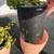 Two succulents in ceramic flower pots 24 thumbnail