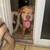 Pitbull Puppies 2 thumbnail