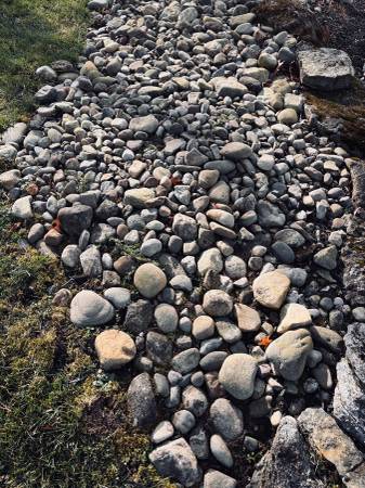 River Rock - Large 1