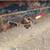 2015 PJ Tilt Bed Trailer—Tandem Axle—Online Auction, Bid Now! 5 thumbnail
