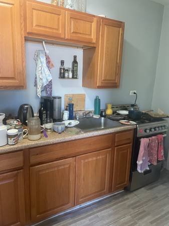 $1,000 / 600ft2 - Sublease for spacious studio in Uptown Sheridan Park (Chicago Uptown)63959878077186120