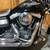 2011 Harley-Davidson Dyna® Street Bob® Dyna® 10 thumbnail