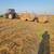 6 Bale Gooseneck 9 thumbnail