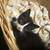3 kittens 1 thumbnail