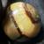Septarian stone sphere gem 2.25 inch diameter $20 3 thumbnail
