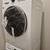 BRAND NEW ! PET FRIENDLY!  1 +1 416 ROYAL AVE!! 9 thumbnail