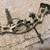 HOYT COMPOUND BOW WITH 24 NEW ARROWS 3 thumbnail