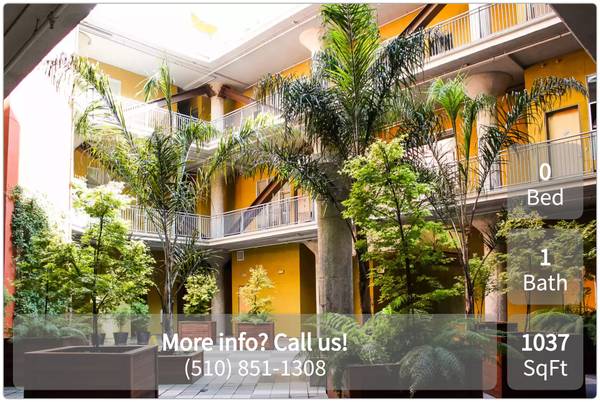 Near class! We're only a short distance from campus! Studio bath 1