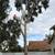 🌴🌳🌿TREE TRIMMING,🌴 TREE REMOVAL, PALM REMOVAL, PALM TRIMMING , SERVI 10 thumbnail
