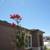 Best Rate! * Awesome 3 Bed Unit * Pet friendly * Nice location! * 6 thumbnail