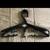 Wet suit for Men  Body Glove 10 thumbnail