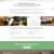 Spring Special! Get 25% Off Custom Websites & Logos - Limited Time! 7 thumbnail