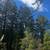 Live below the Redwoods! - Los Gatos Mountains area (los gatos) 20 thumbnail