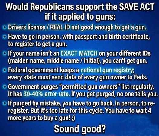 Would Republicans Support The SAVE Act If It Applied To Guns? 1