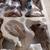 Nativity Set - Large Scale 11 thumbnail