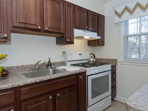 $1,799 / 1br - 650ft2 - Newly Renovated 1Bedroom Apartment (Arlington)63779464334209121