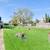 Apartments in Napa, North Napa, Easy Commute! 1 thumbnail