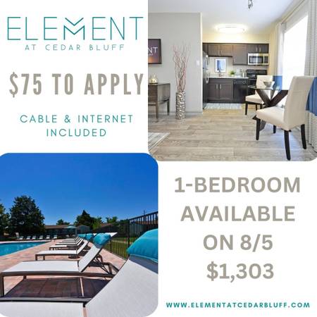 $1,303 / 1br - 🏠PERFECT LOCATION IN KNOXVILLE COME CALL IT HOME 🏠 (Knoxville)63095120353155126