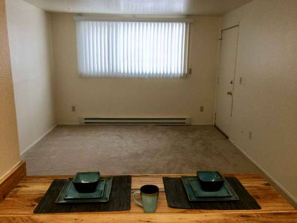 $1,315 / 1br - 470ft2 - Enjoy the best in off campus living at a great price! 1 bed / 1 bath (Anchorage)64004786049665121
