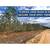 Retire Broke or Own a Rare 0.22 Acre Land for Just $99/Down 7 thumbnail