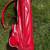 Red SPALDING VINTAGE VINYL Golf Cart Bag 3 Way Divider Red/White Singl 6 thumbnail