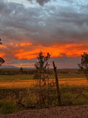 ISO Fall Cattle Pasture 1