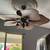 Really nice ceiling fan 1 thumbnail