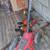 Electric edger and hedge clippers. 2 thumbnail