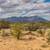 Diamond Bell Ranch 1.35 Acres Lot/Land  - $35,000 14 thumbnail