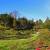 1 BR Unit With On-site Pool and near Morcom The Rose Garden!! 11 thumbnail
