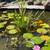 Aquarium and Pond Maintenance and supplies 20 thumbnail