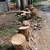 Emergency Tree Removal & Tree Cutting – Fast, Reliable & Affordable 20 thumbnail