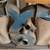 Wood working Tool Auction 2 thumbnail