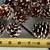 24 hand painted white tipped red pine cones, pinecones holiday decor i 4 thumbnail