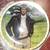 John Wayne plates 3 thumbnail